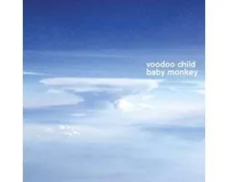 Voodoo Child (Moby) - Baby Monkey