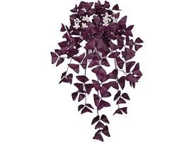 Kunstmatige Oxalis Triangularis Hangplant 55 cm - Neppaarse Klaver in Witte Pot - Perfecte Decoratie voor Binnen, Thuis, Kantoor en Badkamer