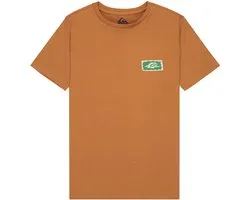 Quiksilver Serenity Splash T-shirt Manches Courtes Marron 8 Ans Garçon