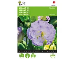 Lisianthus Sky Blue