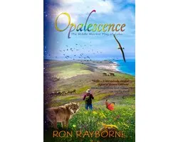 Opalescence: The Middle Miocene Play of Color