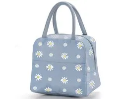 Lunchtas - Geïsoleerde draagtas - Lunchbox - Herbruikbare koeltas - Waterdichte en lekvrije lunchtas - Waterdichte lunchhouder - Geschikt voor vrouwen, mannen, studenten en kinderen - 22*15*20cm