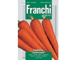 Franchi -  Wortelen, Carota Chantenay 23/37
