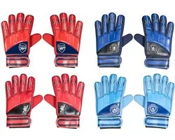 Team Merchandise Goalkeepers Gloves