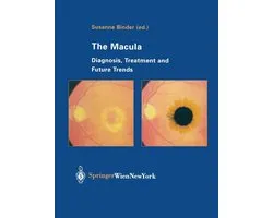 The Macula