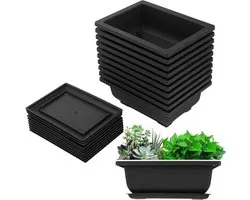 10x Pots de Formation Bonsaï avec Soucoupes – Petits Pots de Culture pour l'Intérieur et l'Extérieur