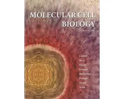 Molecular Cell Biology