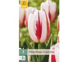 Tulipa Happy Generation bloembol JUB 7 stuks