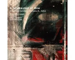 Alexander Chance, Tim Mead, Chinwe D. John, Daniel Norman, Giacomo Susani - Susani: A Screenshot Of Now (CD)