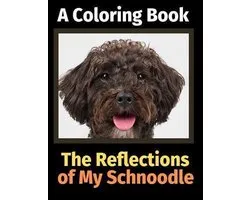 The Reflections of My Schnoodle