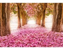 Runa Art Fototapet Bosbloemen Modern Non-woven Material Fleece Vardagsrum Sovrum - Made in Germany - Roze 9044010b