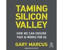Taming Silicon Valley