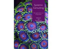 Systemic consulting