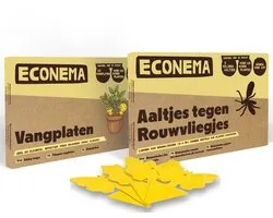 Nématodes contre les mouches du terreau 10 m² + 10 plaques engluées – pack avantage – luttez contre les larves et les mouches – pack anti-sciarides