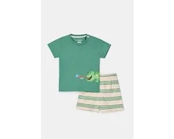 Pyjama Woody bébé garçon - vert - caméléon - 261-10-PSU-S/742 - taille 80