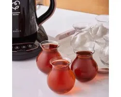 KARACA - REFIKA TATLICAN- SET VAN 6 TURKSE THEEGLAZEN 200ML - Karaca Refika Teegläser Set, 6-teilig Personen Teeservice - 6er Set Spülmaschinenfestes Türkisches Teeglas Türkische Teegläser, Einzigartiges