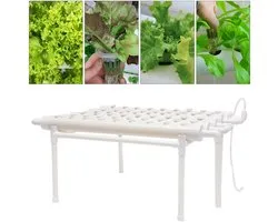 Sensova Hydrocultuur Kweekset met 36 Plantplaatsen - Verticale Hydro Moestuinbak zonder Aarde - Slim Hydroponie NFT Systeem dat Ruimtegebrek, Onkruid en Mislukte Oogsten Oplost voor Verse Groenten en Kruiden Thuis, Balkon of Tuin