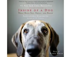 Inside of a Dog