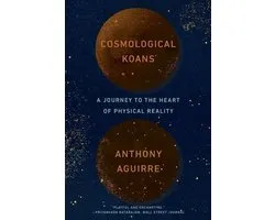 Cosmological Koans