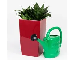 Arrosoir Spring 3L GREEN Prosperplast