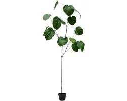 Silk-ka Kunstplant voor Binnen Ficus Groen 212 cm