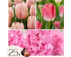 Plante en boîte - Pink Blush - 25 pcs. - Tulpa, Jacinthe - Bulbes de fleurs - Rose