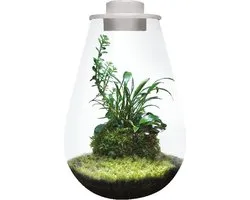 BIOART Drop 285 wit LED plantterrarium 5,1L met ventilatie