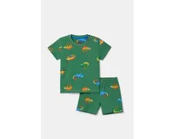 Pyjama Woody bébé garçons - vert - caméléon all-overprint - 261-10-PZA-Z/910 - taille 86