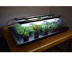 Greenhouse Sensations - Propagator Verwarmde kweekbak Geopod Extra Large Verwarmd met geïntegreerde groeilampen en thermostaat (Extra Large)