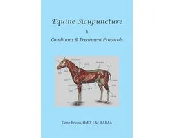 Equine Acupuncture - Conditions & Treatment Protocols