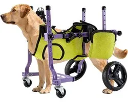 Garsent Dog Wheelchair for Rear Legs, Dog Wheelchair Stroller, Stretchable Integrated 4 Wheels Dogs Rear Legs Stroller for Outdoor, Adjustable Mobilit