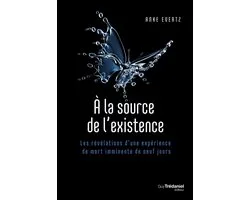 À la source de l'existence - Les révélations d'une expérience de mort imminente de neuf jours