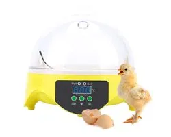 Shopcentral - Digitale Eitjes Incubator - Automatisch - Constant Temperatuur Controle - Voor 7 Eieren - Transparant - Hatcher Voor Pluimvee - 220-240 V