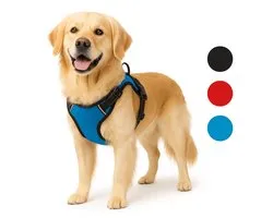 Hondentuig Balou Blue 80 tot 105 cm - 25 mm