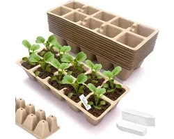 Biodegradable Fibre Seed Pot Seed Pot Seed Pot Seed Pot Seed Pot Seed Pot Seed Pot with Hole in the Bottom Suitable - ShopVlot