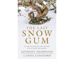 The Last Snow Gum