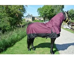 Regendeken luxe vaste hals 300gram zwart/wine red Buitendeken
