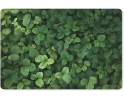 Sous-main de bureau 60x40 cm - Tapis de souris Vert - Feuilles - Dentelé - Lumière du soleil - Sous-main xl - Tapis de bureau protecteur - Tapis de souris ordinateur