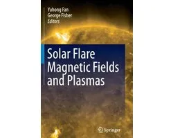 Solar Flare Magnetic Fields and Plasmas