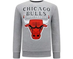 Pull pour Homme Chicago Bulls - Grijs