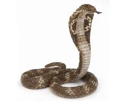Papo Speelfiguur - Reptiel - Slang - Koningscobra