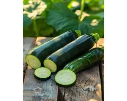 Klimcourgette Zaden Ola Escaladora Organic Cucurbita Pepo Eenjarig