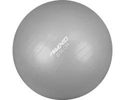 Avento Fitnessbal 65 cm zilverkleurig