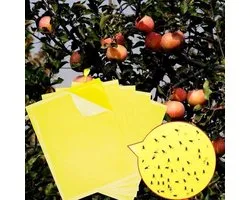 30-Pack Double-Sided Sticky Fly Trap Yellow Plug with Cable Ties - Flycatcher Stickers for Fruit Plantations and Cherry Protection - Insect Fly Trap (19.8 x 14 cm)