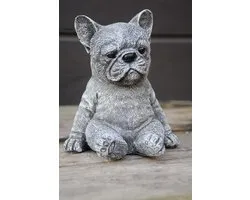 Franse Bulldog, Frenchie
