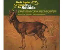 Do It Again: A Tribute to Pet Sounds