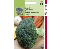 Hortitops Zaden - Broccoli (Calabrese) Calabria