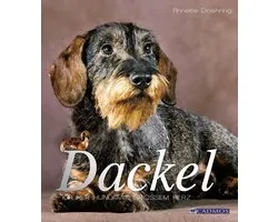 Hunderassen - Dackel