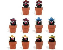 DutchLeafs Cactussen Mexicaan Sombrero in Terracotta Bloempot - 10 Stuks - Kwekerspot 5,5 cm - Hoogte 8-15 cm - Mini Cactussen - Kamerplanten