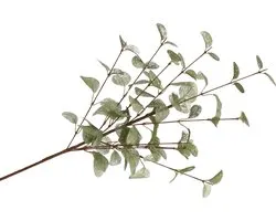 DK Design Kunstbloem Eucalyptus tak Silk - 72 cm - groen - losse steel - Kunst zijdebloemen